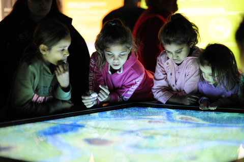 Bilya Koort Boodja - Centre For Nyoongar Culture And Environmental Knowledge - Attractions Sydney 0