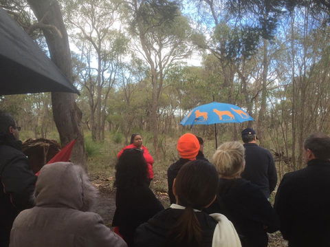 Bindjareb Cultural Park - Attractions Sydney 2