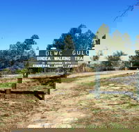 Bindea Walking Track - Attractions Sydney