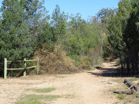 Bindea Walking Track - Attractions Sydney 1