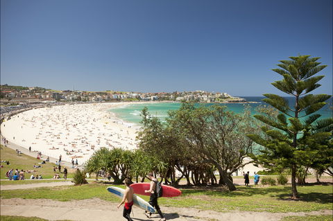 Bondi To Coogee Coastal Walk - Attractions Sydney 0