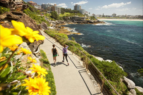 Bondi To Coogee Coastal Walk - Attractions Sydney 2