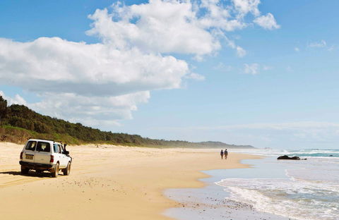 Bongil Bongil National Park - Attractions Sydney 0