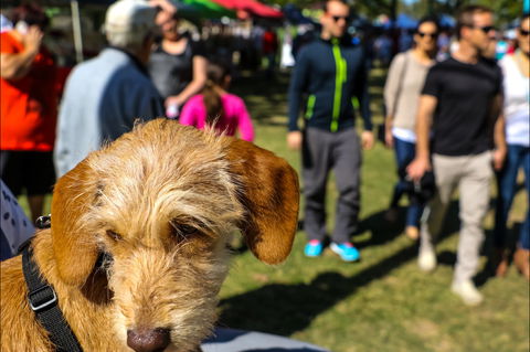Burleigh Art And Craft Markets - Attractions Sydney 2