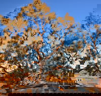 Burke and Wills Dig Tree - Attractions Sydney