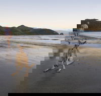 Cape Hillsborough National Park - Attractions Sydney