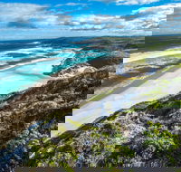 Conspicuous Cliff - Attractions Sydney