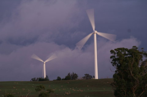 Crookwell Wind Farm - Attractions Sydney 0