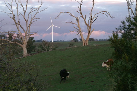 Crookwell Wind Farm - Attractions Sydney 1