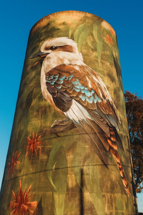 Deniliquin Water Tower Mural - Attractions Sydney 0