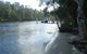 Engels Reach Picnic Area - thumb 0