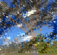 Euroa Arboretum - Attractions Sydney