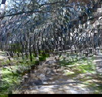 Federation Walk - Attractions Sydney