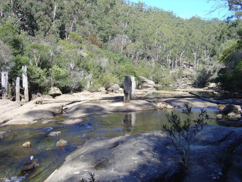 Frere's Crossing Bushwalk - Attractions Sydney 0