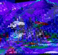 Glowing Rooms 3D Mini Golf - Attractions Sydney