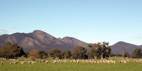 Grampians - Attractions Sydney 0