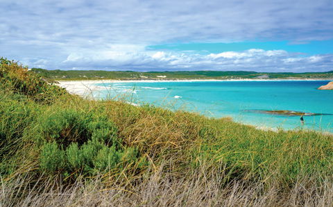 Great Ocean Drive - Attractions Sydney 2