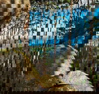 Gulaga Mountain Walk - Attractions Sydney