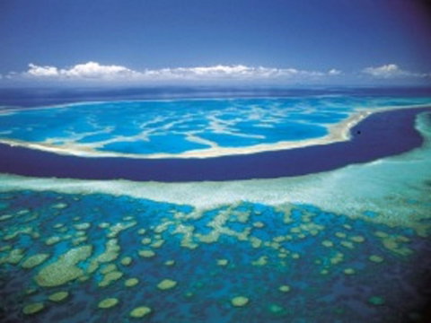 Hardy Reef - Attractions Sydney 0