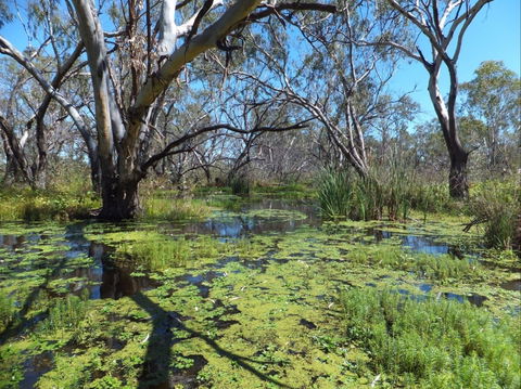 Macquarie Valley Trails - Attractions Sydney 0