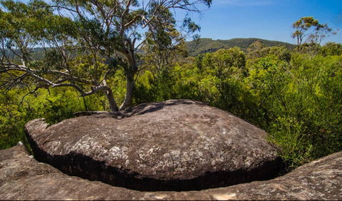 Marramarra Ridge To Smugglers Ridge Walking Track - Attractions Sydney 0