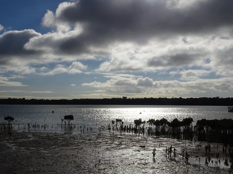 Marine Parade (Hastings Foreshore Reserve) Circuit - Cycling - Attractions Sydney 0