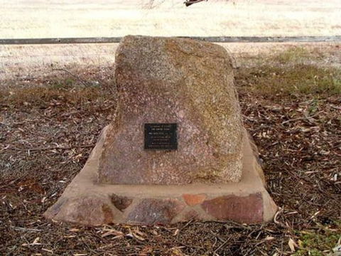 May Gibbs Tree - Attractions Sydney 0