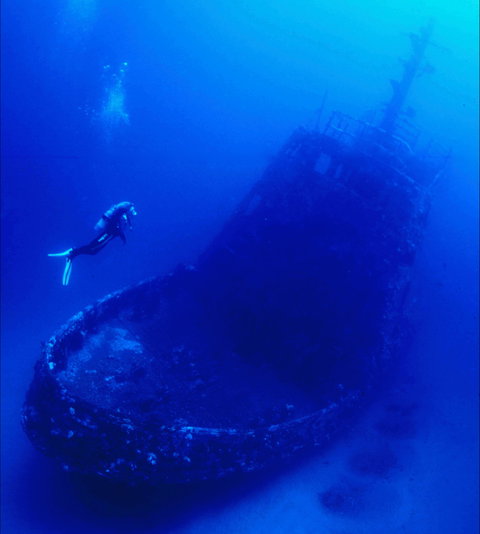 Merimbula Divers Lodge - Attractions Sydney 0