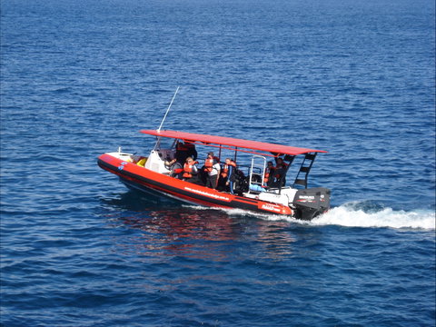 Merimbula Divers Lodge - Attractions Sydney 1