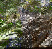 Moore Park Nature Reserve - Attractions Sydney