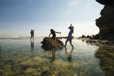 Mornington Peninsula National Park - Attractions Sydney 2