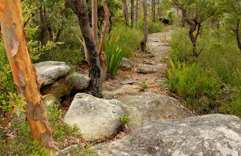 Mount Olive Trail - Attractions Sydney 0