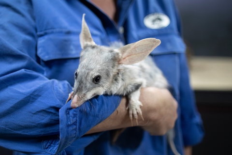 Natural Sciences Loop - Attractions Sydney 2