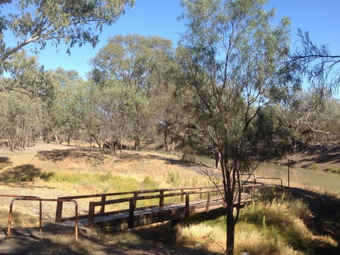 Norman Tracker Walford Walkway - Attractions Sydney 0