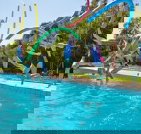Oaklands War Memorial Swimming Pool - Attractions Sydney