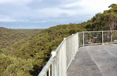 O'Hares Creek Lookout - Attractions Sydney 0