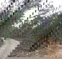 Paddys Ranges State Park - Attractions Sydney