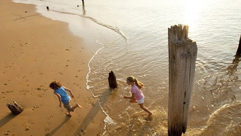 Phillip Island - Attractions Sydney 0