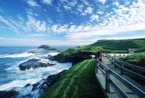 Phillip Island - Attractions Sydney 1