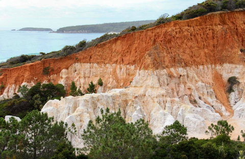 Pinnacles Loop Walking Track - Attractions Sydney 0