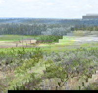 Princess Hills Girringun National Park - Attractions Sydney