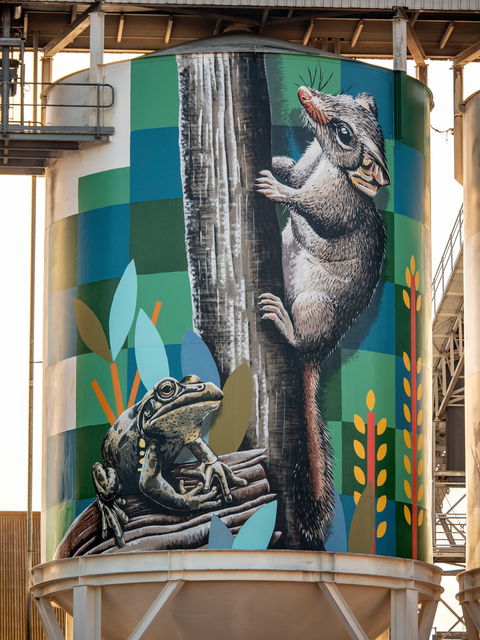 PUBLIC Silo Trail: Newdegate - Attractions Sydney 2
