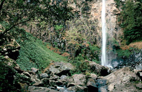 Rawson Falls Walk - Attractions Sydney 0