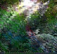 Scenic World Blue Mountains - Attractions Sydney