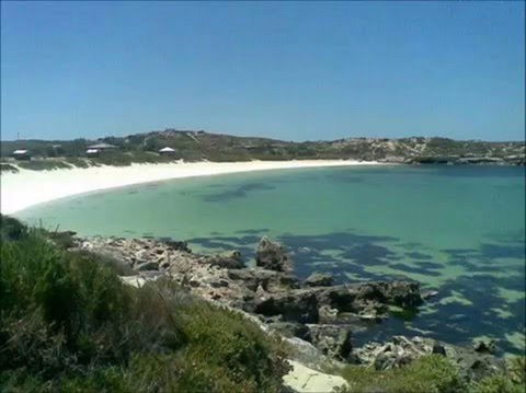 South Bay - Attractions Sydney 0