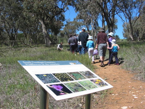 South Gundagai Woodlands Walk - Attractions Sydney 0