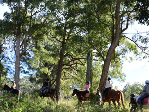 The Outlook Riding Academy - Attractions Sydney 0