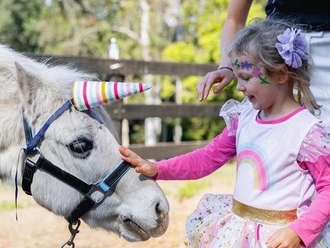 The Outlook Riding Academy - Attractions Sydney 1