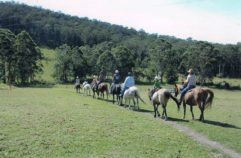 Timbertops - Horse Riding - Attractions Sydney 0