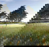 Twin Creeks Golf and Country Club - Attractions Sydney